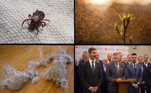 hlavne sezonne alergeny